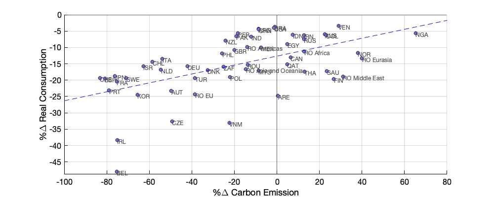 Figure A.8: Consumption and Emission Impacts of Moving to Autarky